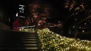 クリスマス2018東京ガーデンテラス紀尾井町20190214イルミネーションDSCN4960