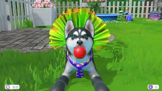 Little Friends: Puppy Island - Husky - learn to care for pets