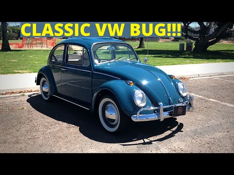 1965 Volkswagen Beetle Review - RESTORED and SUPER CLEAN Beetle!!!