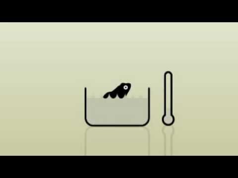 Der Frosch Im Kochtopf Youtube