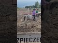 Daily 5 // kłus na oklep, oceńcie moją jazdę a ja zrobię to samo ( nie po jednym filmie)