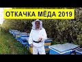 Откачка Мёда 2019 🍯 Умный Улей ✅ Хочу Медовухи 🍷