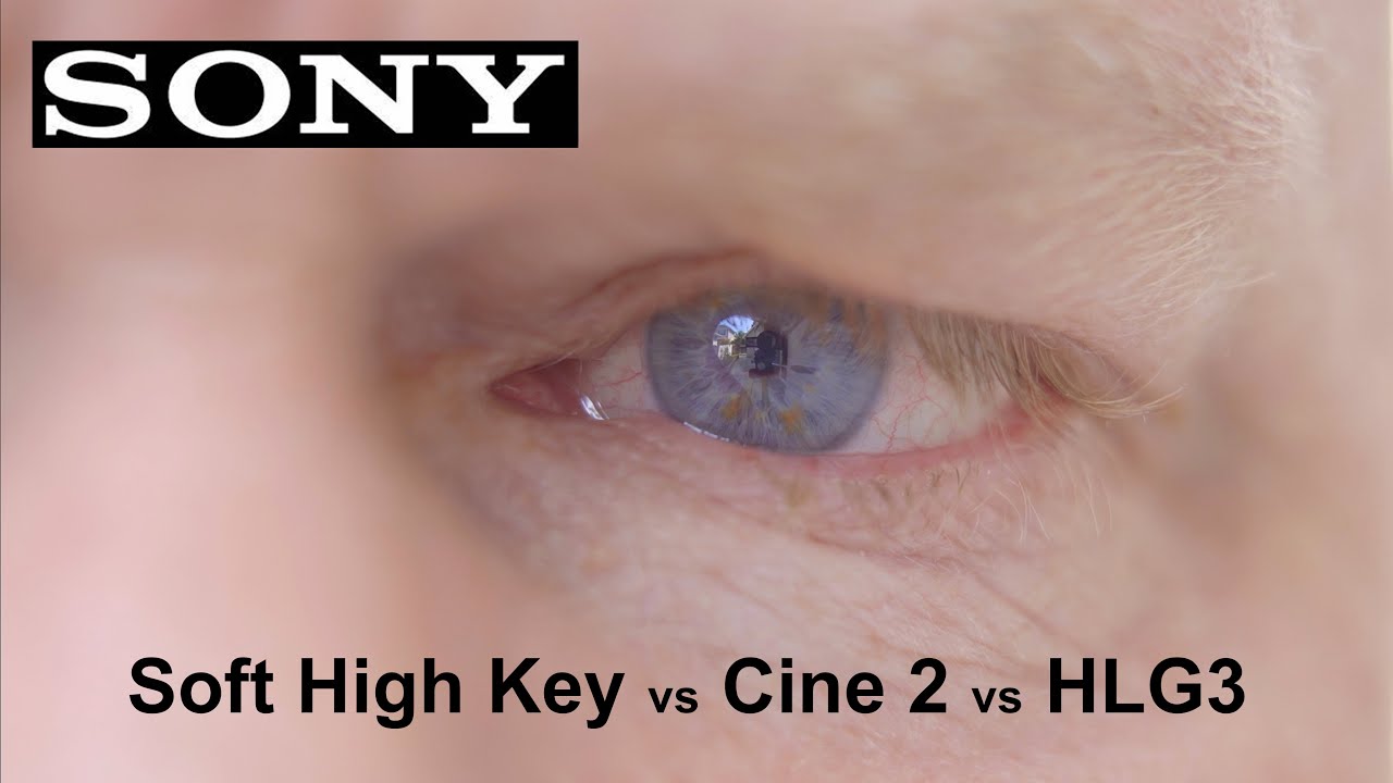 SONY ZV E10 HLG3 Vs Cine2 Vs Soft High Key YouTube