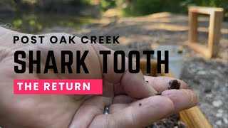 Best Fossil Hunting Spot in Texas? Here's What I Found