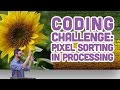 Coding challenge 47 pixel sorting in processing