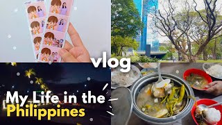 vlog🏙️life lately in the philippines, a day at the park, what I eat? cooking food, february birthday