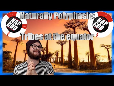 Naturally polyphasic: Sleep