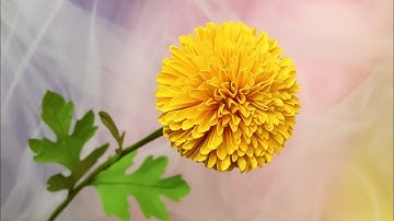 ABC TV | How To Make (Chrysanthemum) Ping Pong Paper Flower - Craft Tutorial