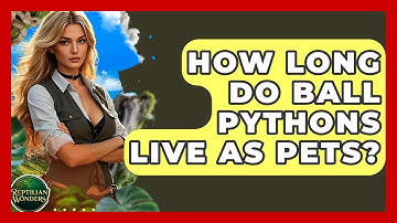 How Long Do Ball Pythons Live As Pets? - Reptilian Wonders
