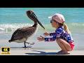 When Babies First Encounter Hilarious Animals! 😂 Funny Animals Videos Ever Mp3 Song
