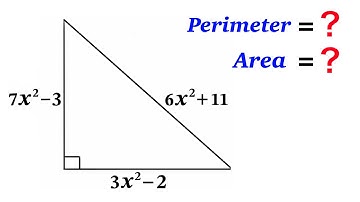 Math Olympiad Geometry | Find the Area & Perimeter of the triangle l VIJAY Maths