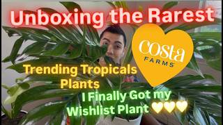 Costa Farms Sent Me New Rare Plants The Ultimate Spring Unboxing: Monstera Golden Compact Plant Haul