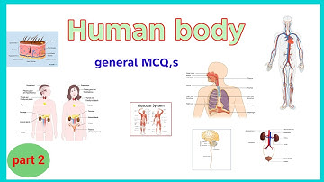 Human Body MCQs Part 2 | Human Body MCQs with Answers and Explanations | anesthesia with babar 