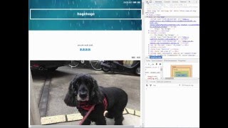 【GoogleChrome】How to copy CSS selector