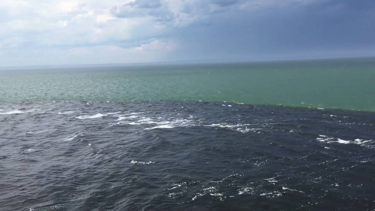 Соединили реку с океаном. Волга океан. Место впадения Енисея в Карское море. Дельта Енисея. Енисей впадает в море фото.