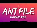 Dominic Fike - Ant Pile (Lyrics)