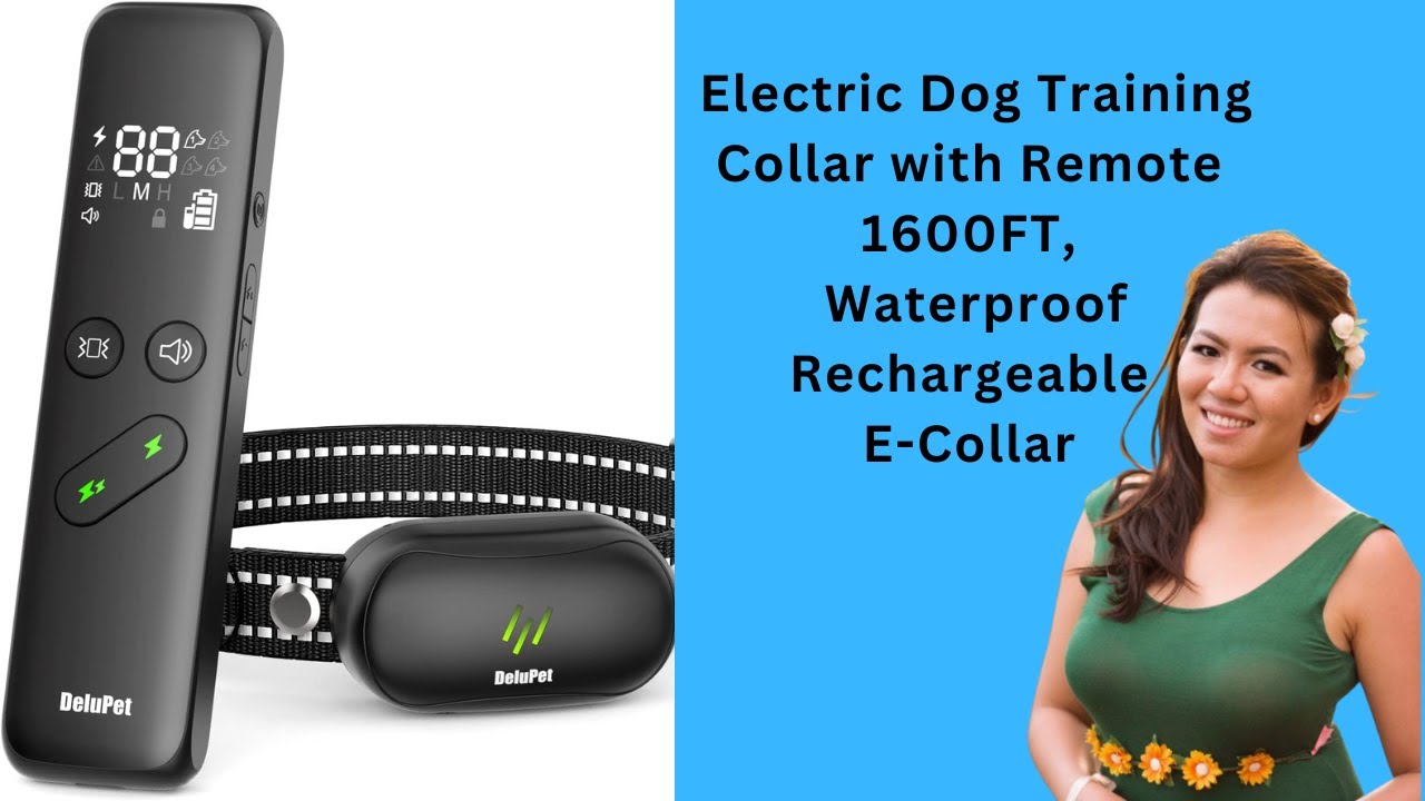 Rechargeable E-Collar Waterproof with 3 Modes from Delupet Store