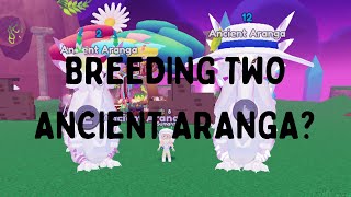 BREEDING TWO ANCIENT ARANGA??!!