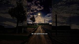 Ahı Olmayan Eşek... Şfet Isözler