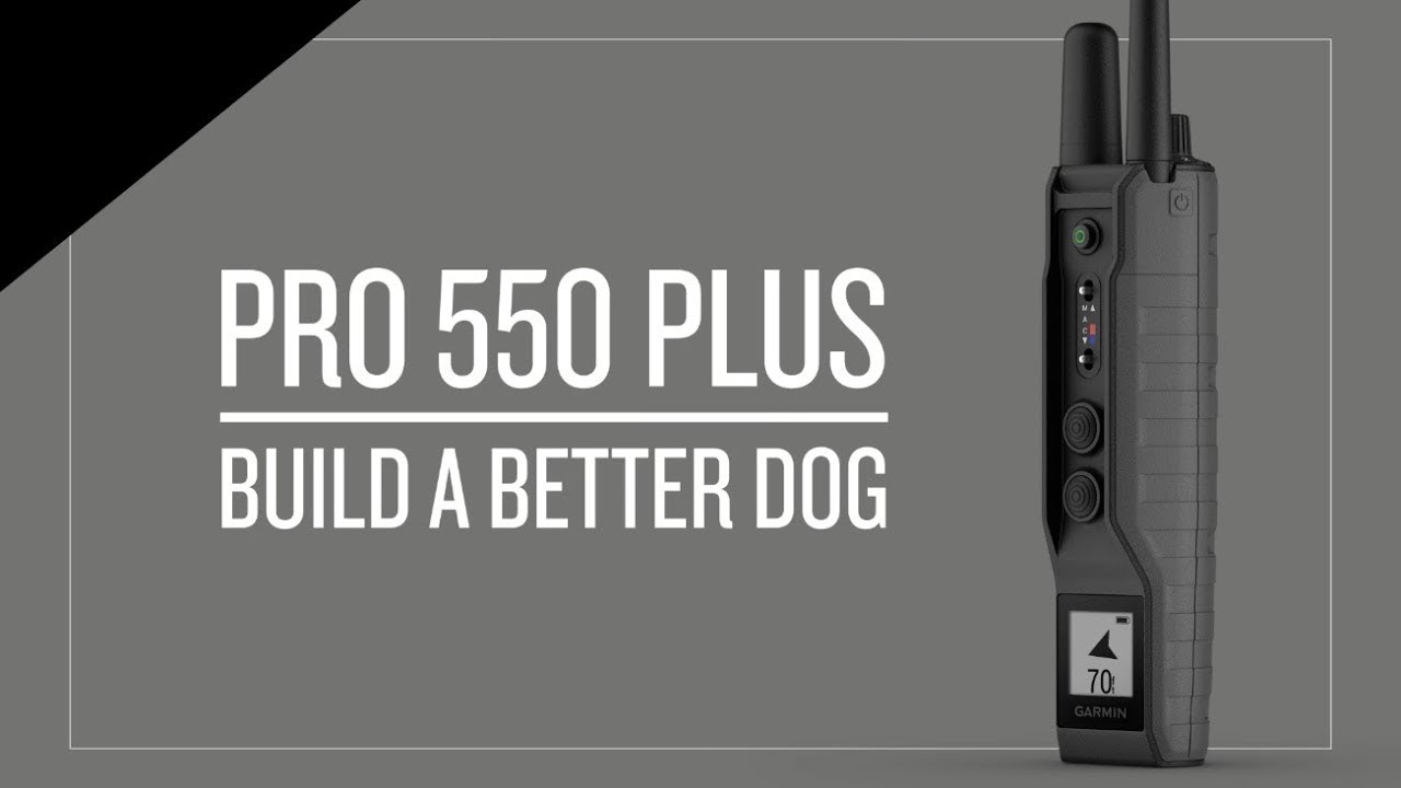 PRO 550 Train Track Remote Dog Training