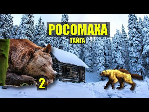 РОСОМАХА - ЕЩЕ тот МЕДВЕДЬ СВЯЩЕННИК СПАС МЕДВЕДЯ СЛУЧАЙ в ТАЙГЕ ОХОТА ИСТОРИИ из ЖИЗНИ СЕРИАЛ 2