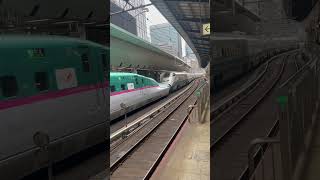 旧塗装のE3系つばさ＋E5系やまびこ東京駅発車