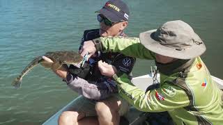 How To Catch Flathead On The Gold Coast