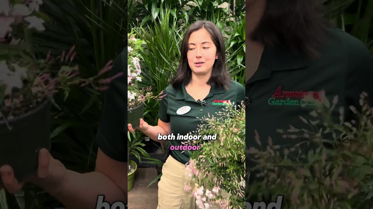 The Fragrant Flower You Can Grow Indoors Out