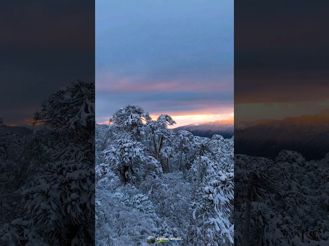 Atardecer en la Araucanía Andina 🏔❄️ #drone