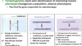MCB 182 Lecture 4.1 - Forward genetics