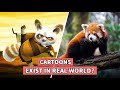 22 Cartoon Characters on UNSEEN Animals!