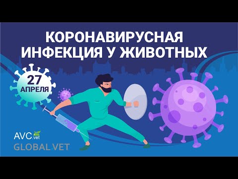 Вопрос: Насколько кал для собак полезен?