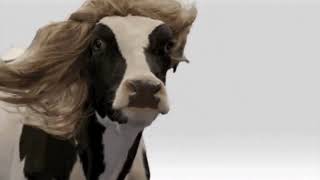 Im A Cow Im A Cow Doja Cat Mooo Video Lyrics