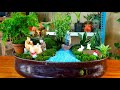 How to make a miniature gardengarden thrive