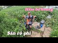 Trở lại hầm bỏ hoang săn rô phi khủng, một ngày câu đài tự nhiên trúng mánh