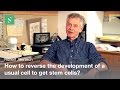 Induced pluripotent stem cells - Rudolf Jaenisch