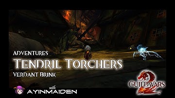 GW2 Tendril Torchers | Gold Adventure achievement