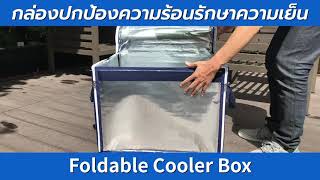 Foldable Cooler Box