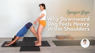 Why Downward Dog Feels Heavy in the Shoulders | Iyengar Yoga with Kathy Cook