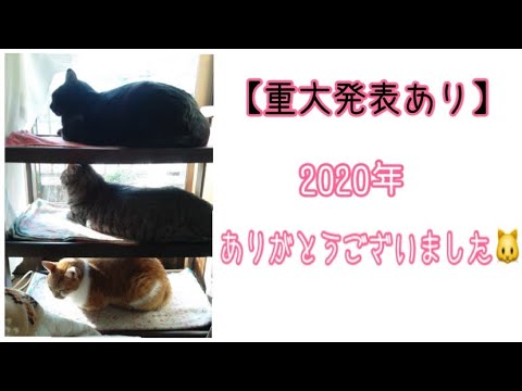 【重大発表あり】年末のご挨拶