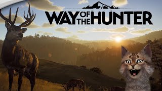 🔴LIVE HUNTING ANIMALS Deer, Bear, Lion, Duck, Elephant, Bird, Crocodile screenshot 5