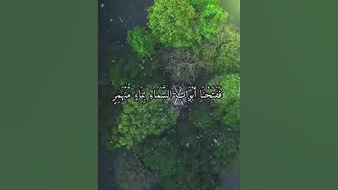 واتس اب قران كريم القارئ مشاري فالح (سوره القمر)