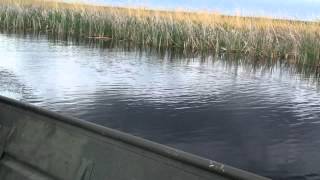 2012 Mud Buddy 35 Vanguard Marine edition and Alumacraft 1648 rivited