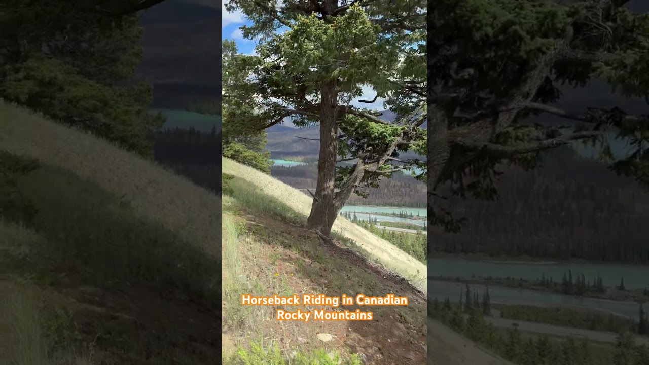 Gorgeous Rocky Mountains. Jasper National Park. 