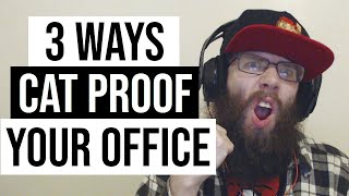 3 EASY WAYS TO CAT PROOF YOUR OFFICE! | #feurious