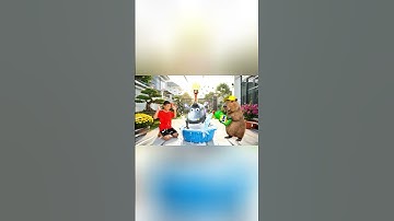 Capybara cùng anh giúp bà tắm Trenostruzzo Turbo Super Infinito và cái kết #capybara