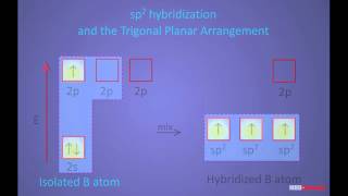 Formation of Boron trichloride molecule