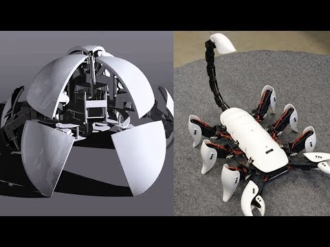 5 Wonderful Robots / Robotic Kits You will Intend to Buy – Best Robot Toys #14
