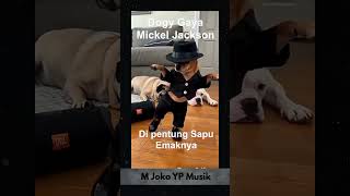 #fuunydog #fuunyshorts #shortvideo #shortsviral #dogshorts #anjingpintar