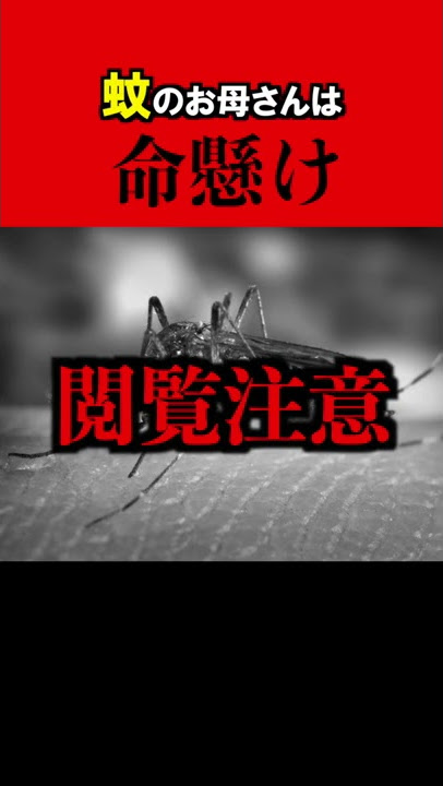 [Touching] Mosquito mother risks her life #shorts
